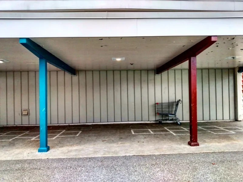Push Your Cart Like an Artist: Errand-Run Lessons in Showing Up for Your Craft